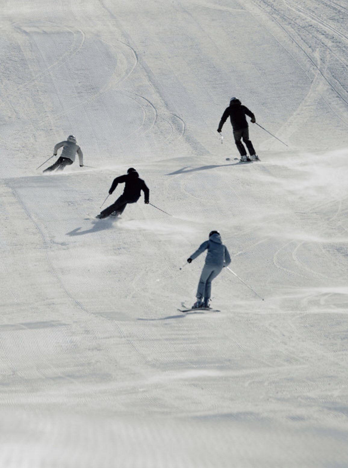 Skischule online buchen